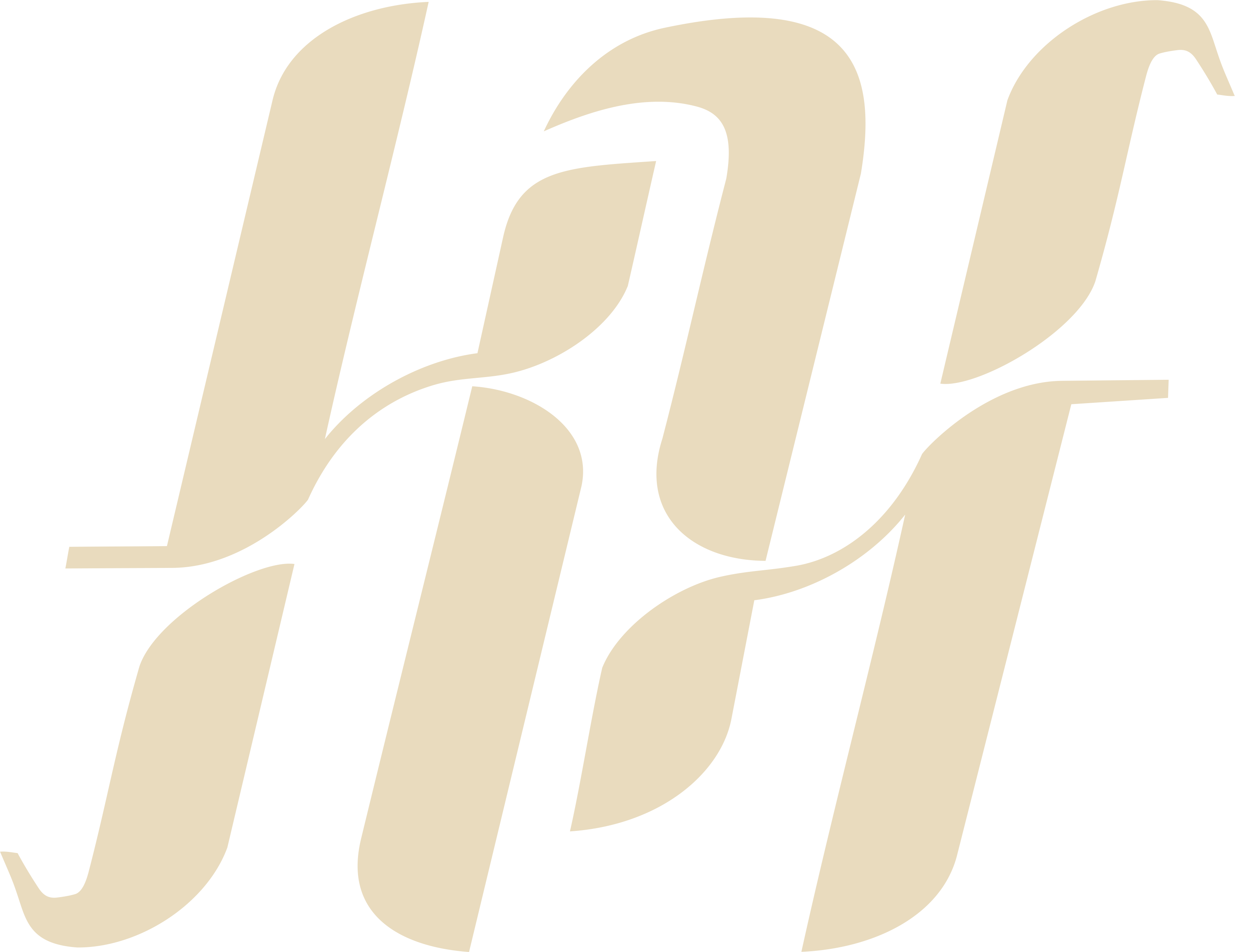 KIF LOGO